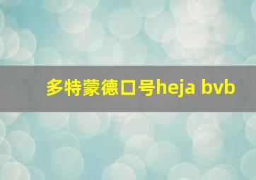 多特蒙德口号heja bvb